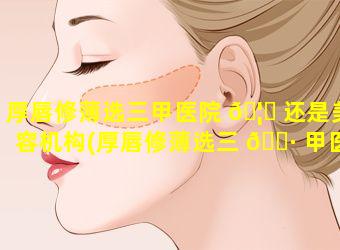 厚唇修薄选三甲医院 🦈 还是美容机构(厚唇修薄选三 🌷 甲医院还是美容机构比较好)